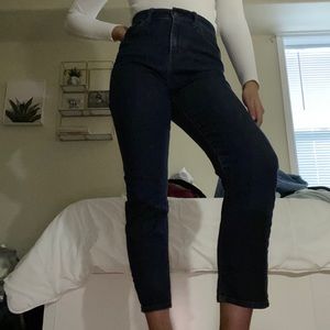Dark Blue Skinny Ankle Jeans